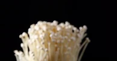 4K金针菇冬菇菌类蔬菜视频的预览图